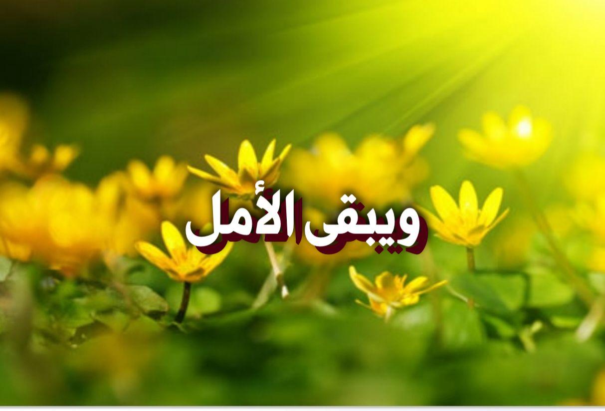 ويبقى الأمل