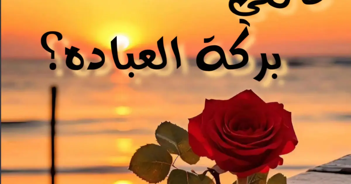 ماهي بركة العباده؟