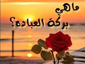 ماهي بركة العباده؟