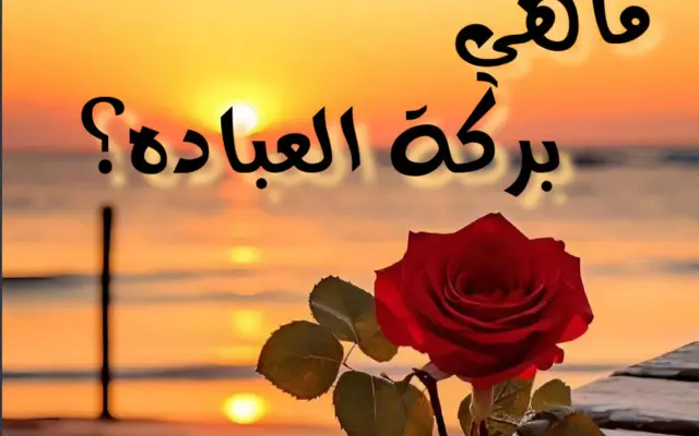ماهي بركة العباده؟