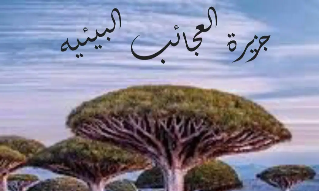 جزيرة العجائب البيئيه