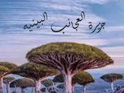 جزيرة العجائب البيئيه