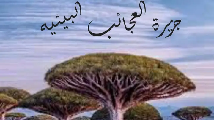 جزيرة العجائب البيئيه
