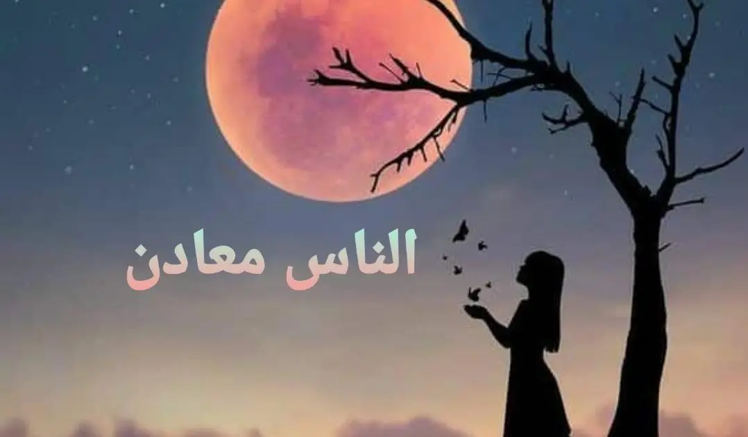 الناس معادن