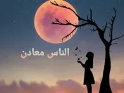 الناس معادن