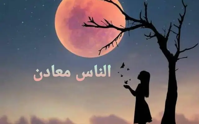 الناس معادن