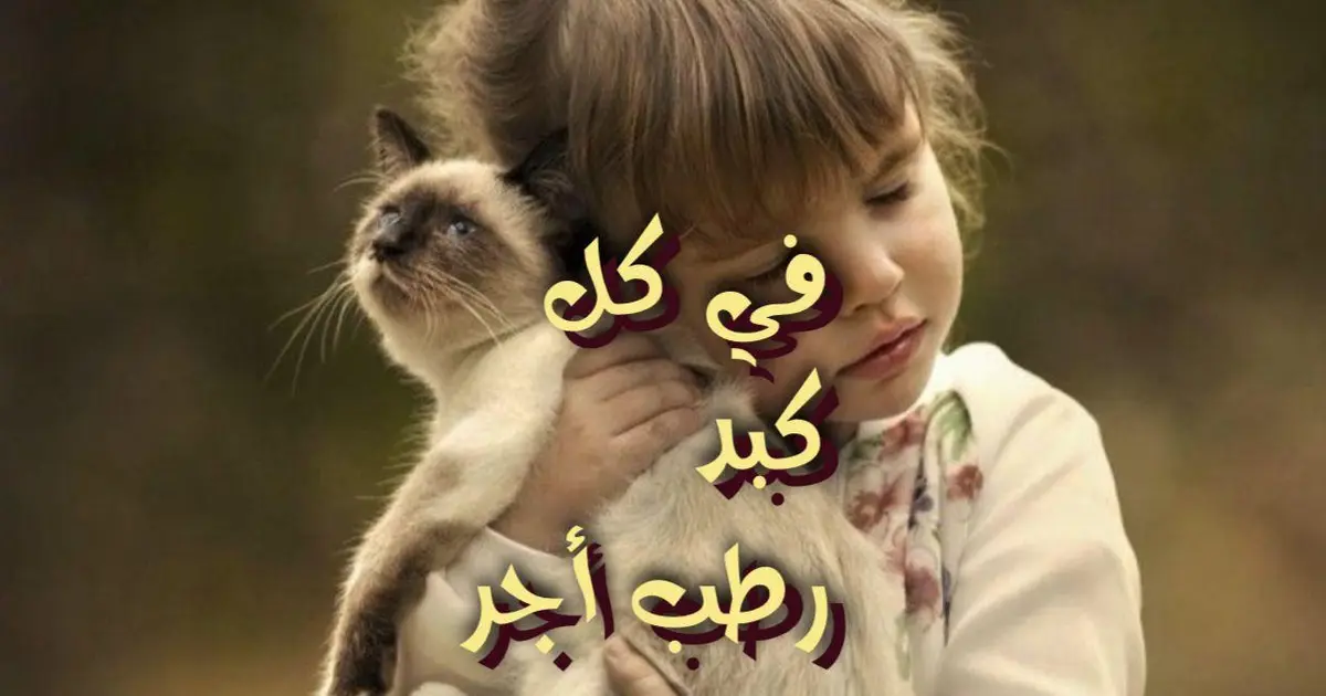 الرفق بالحيوان