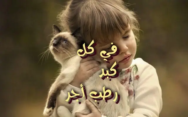 الرفق بالحيوان
