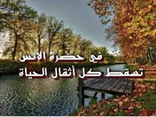 في حضرة الأنس تسقط كل أثقال الحياة