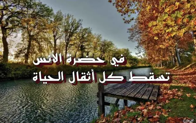 في حضرة الأنس تسقط كل أثقال الحياة