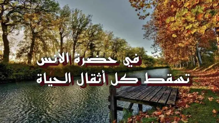 في حضرة الأنس تسقط كل أثقال الحياة