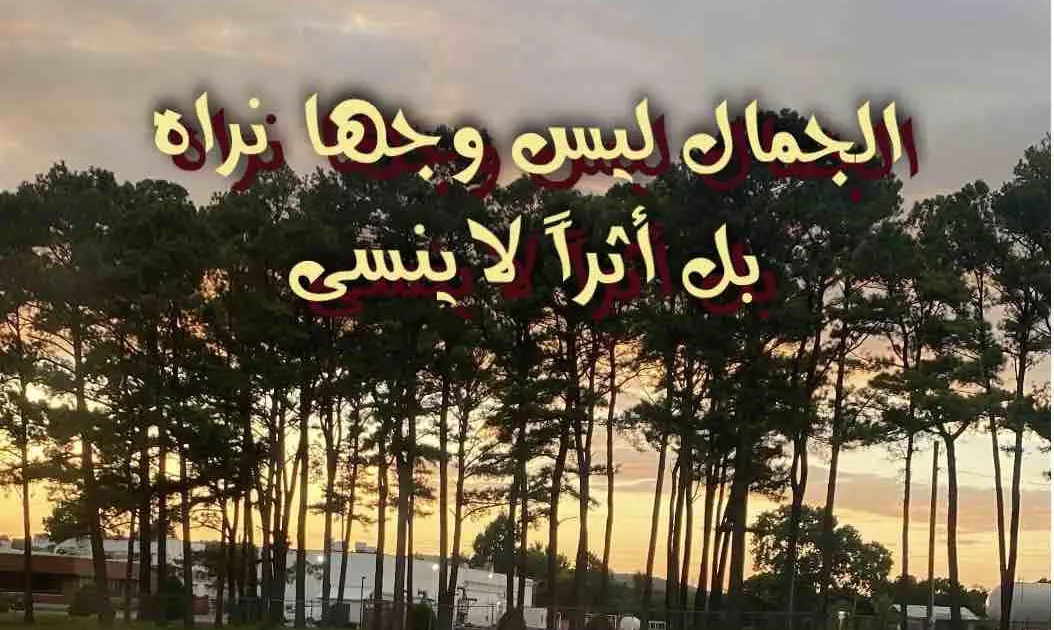 الجمال ليس وجها نراه بل أثراً لايُنسى