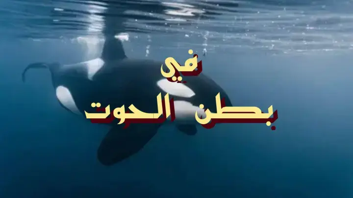 في بطن الحوت