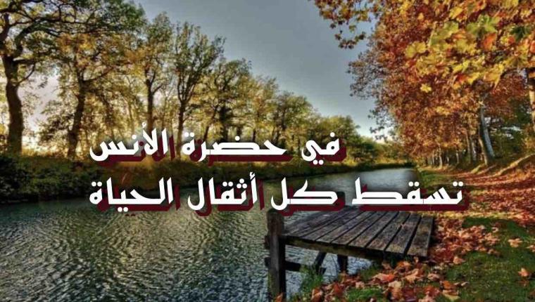 في حضرة الأنس تسقط كل أثقال الحياة