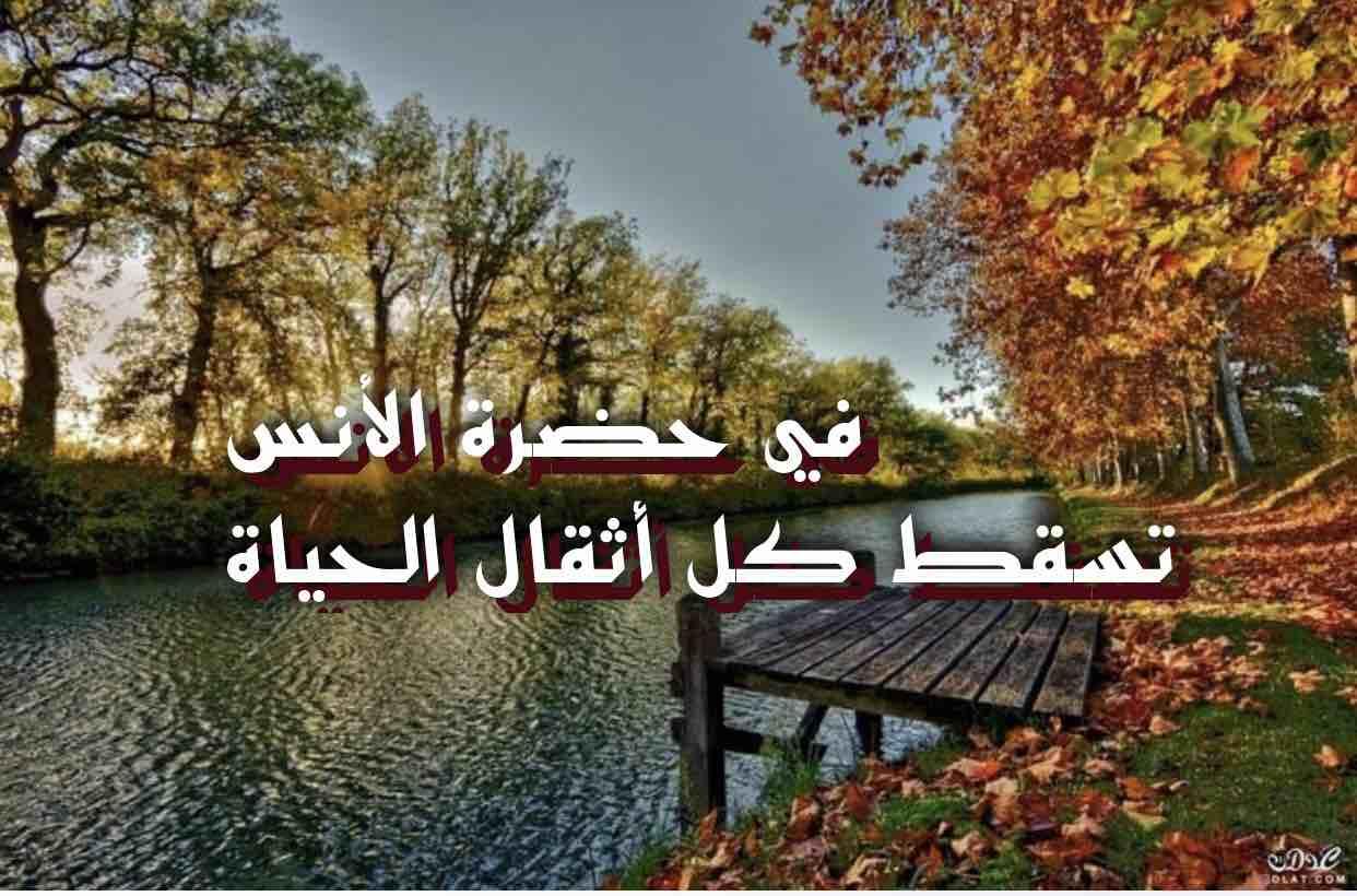 في حضرة الأنس تسقط كل أثقال الحياة