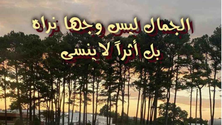 الجمال ليس وجها نراه بل أثراً لايُنسى
