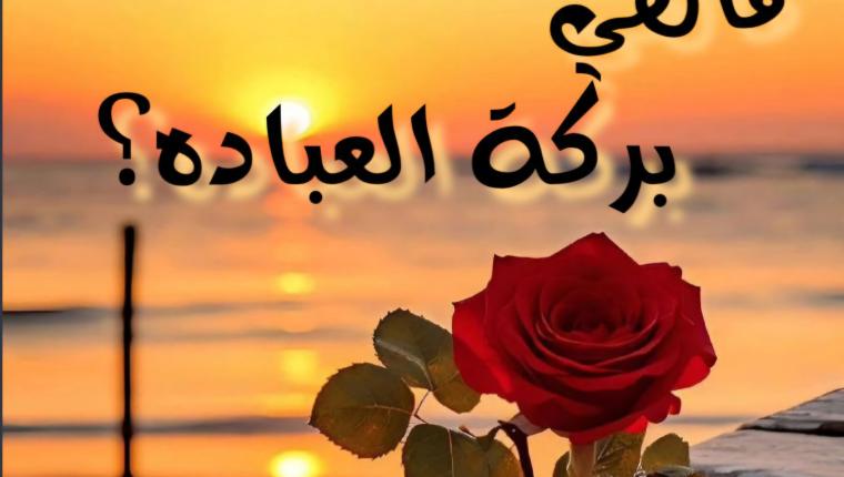 ماهي بركة العباده؟