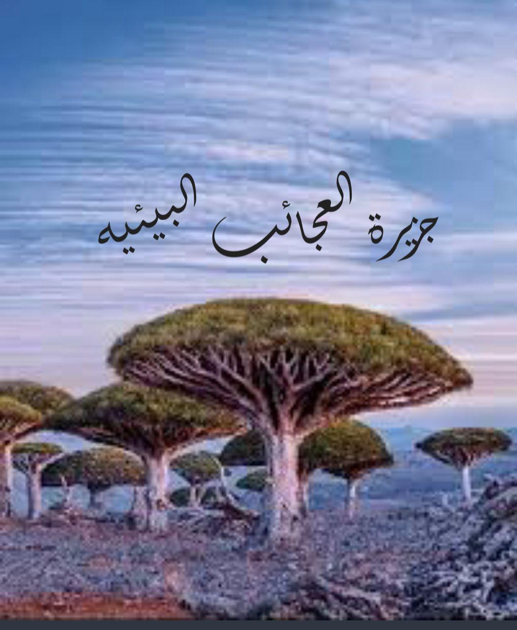 جزيرة العجائب البيئيه