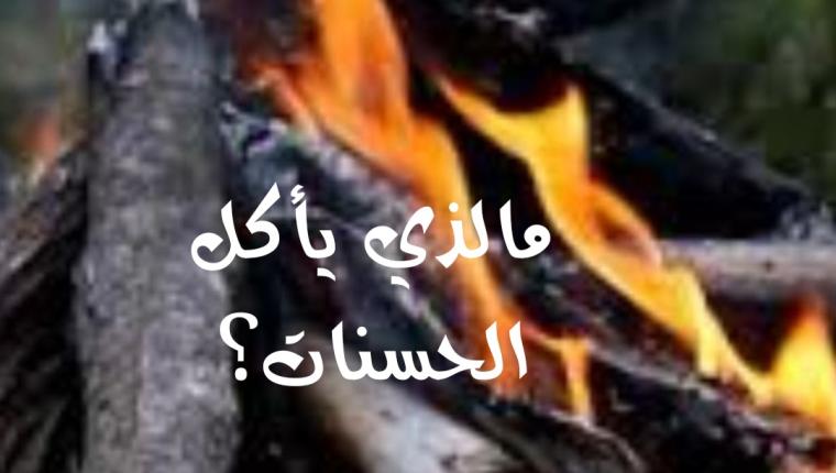 مالذي يأكل الحسنات؟