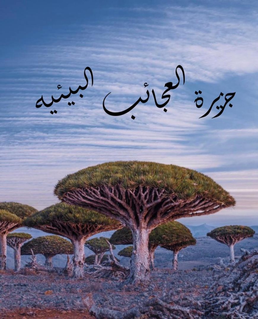 جزيرة العجائب البيئيه